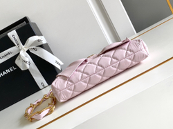 Chanel Bag 20 cm