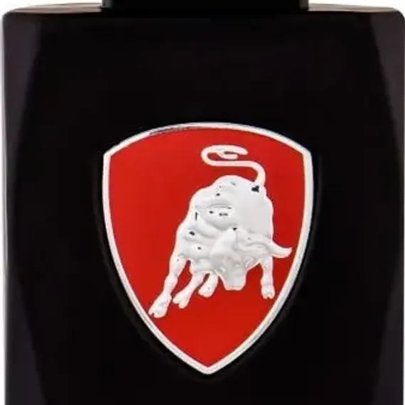 Мужская туалетная вода Tonino Lamborghini Classico EDT 125 мл с нотами цитруса и древесины