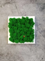 Панно из мха набор 3 шт.