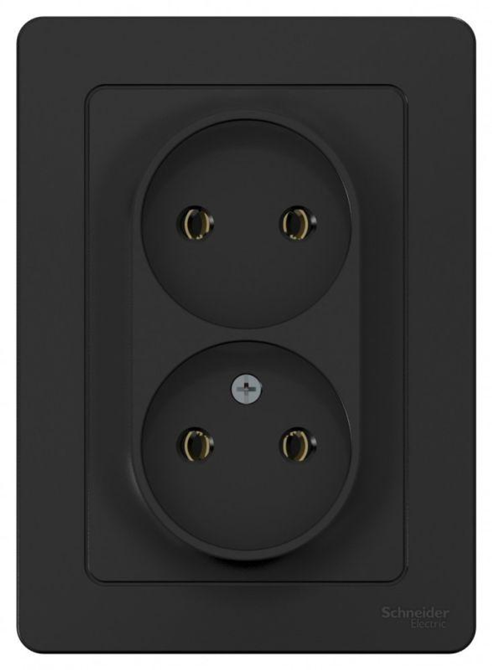 Розетка 2-м СП Blanca 16А IP20 250В без заземл. без защ. шторок антрацит SE BLNRS000026