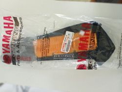 B74-WE445-00. AIR CLEANER ELEMENT ASSY