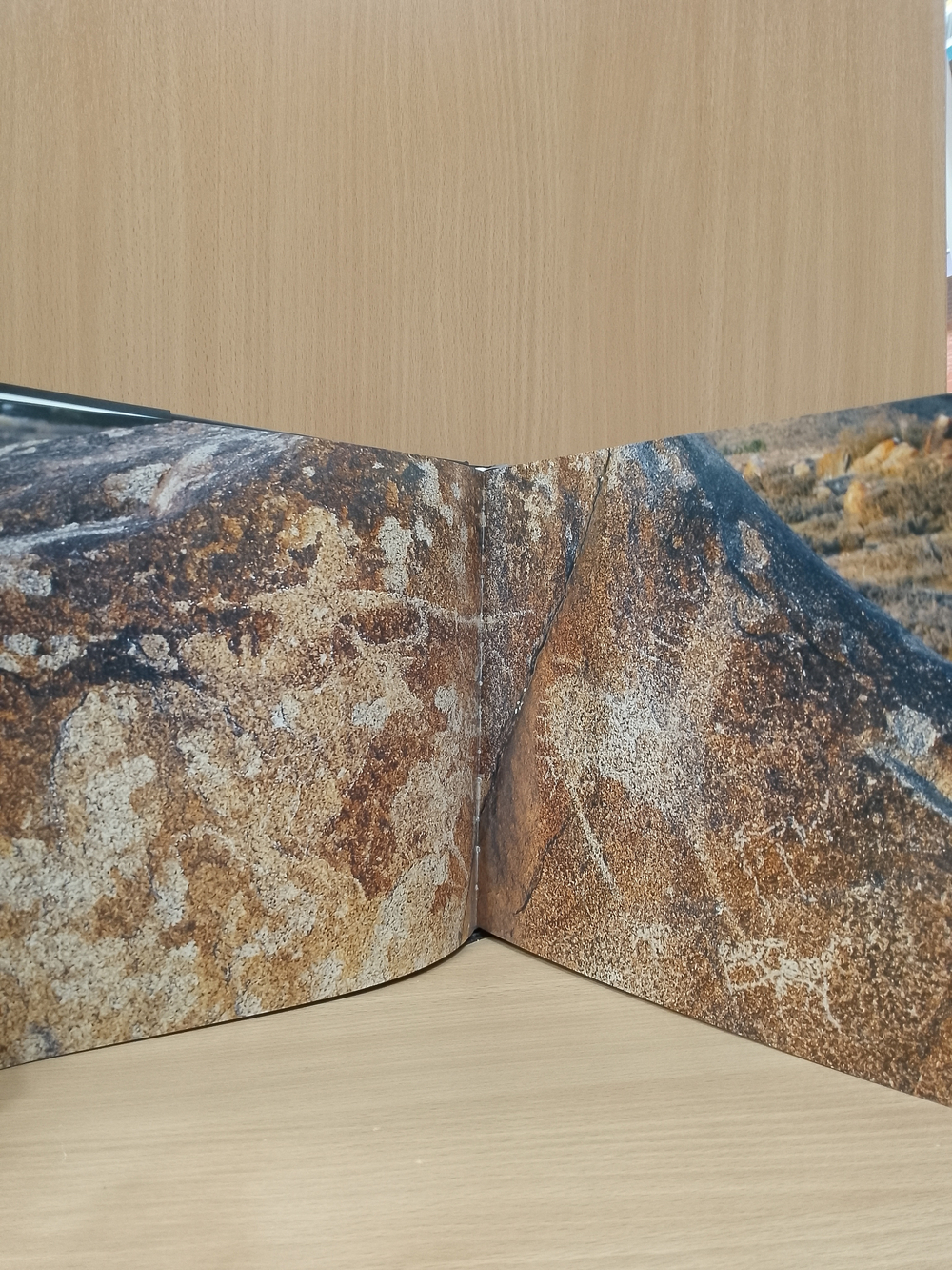 Шедевры первобытного искусства (без футляра) (на русском и английском языках)