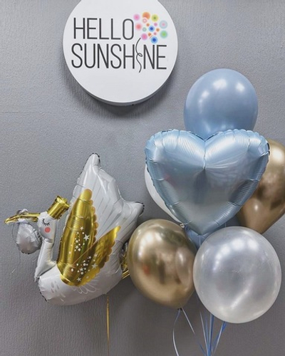 Набор шаров на Выписку №19