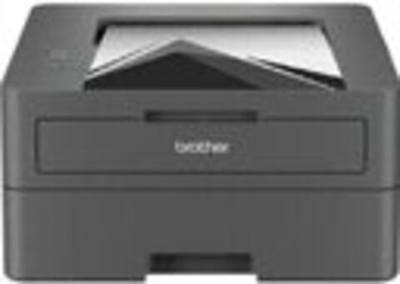 Лазерный принтер Brother HL-L2460DN