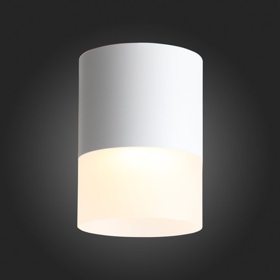 ST100.502.15 Светильник потолочный Белый LED 1*15W 3000K 1 170Lm Ra>80 120° D118xH150 170-240V Накладные светильники