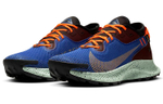 Кроссовки Nike Pegasus Trail 2 Zoom Gore-Tex