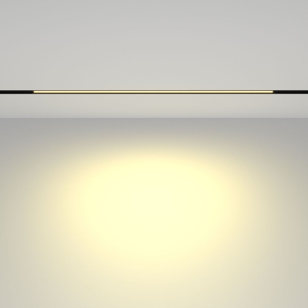 Трековый магнитный светодиодный светильник Maytoni   TR030-2-24W2.7K-B