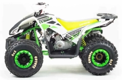Квадроцикл Motoland 125 COYOTE