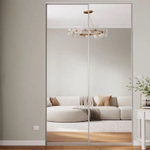 Дверь-купе ARISTO TWELVE, зеркало, профиль хром матовый