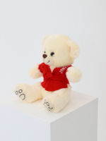 Мишка сувенирный в курточке САМБО красный