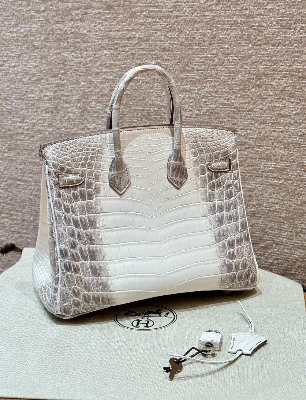 Hermes Birkin 25