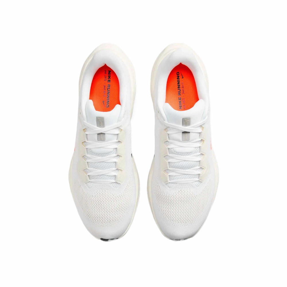 Кроссовки Nike Pegasus 41
