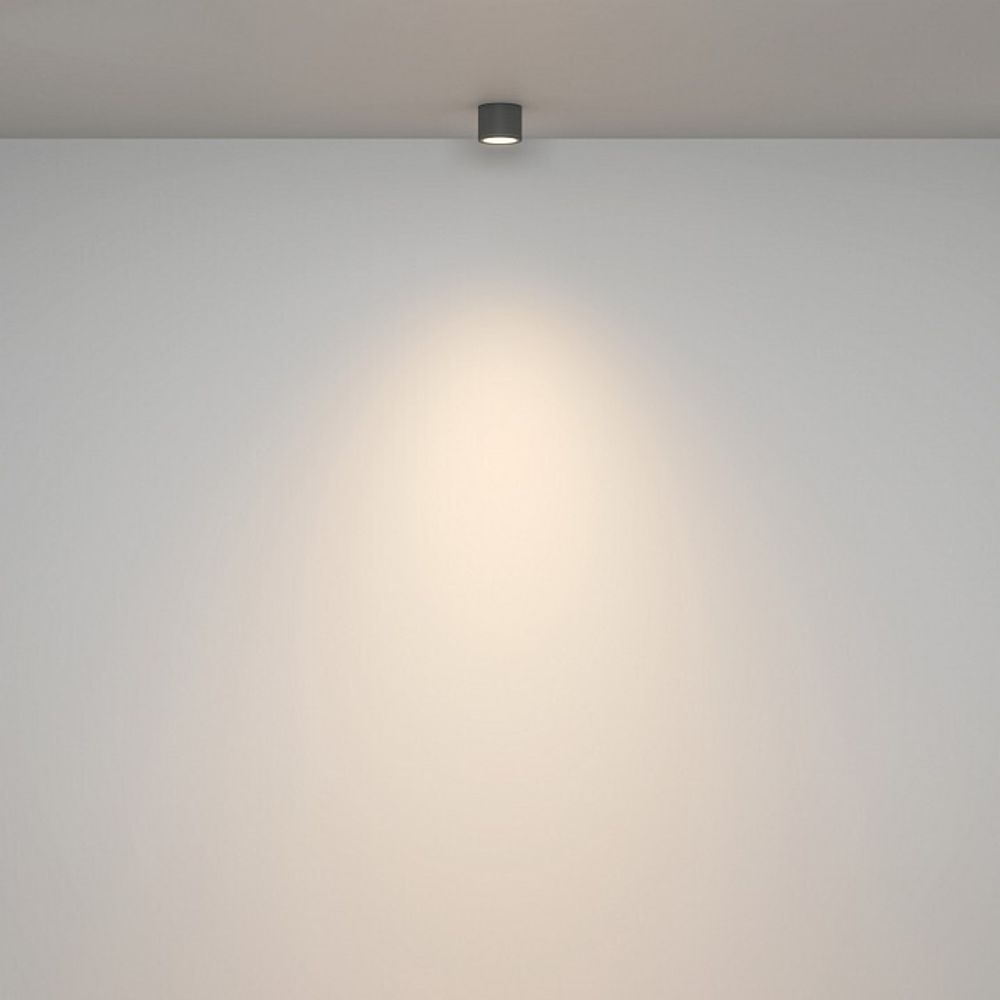 Накладной светильник Maytoni Rendo C095CL-GX53-GR