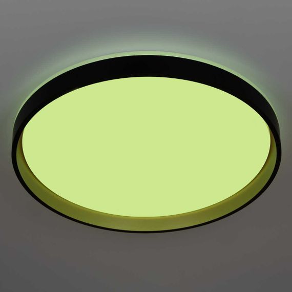 Светильник потолочный Citilux ENZO CL753511G