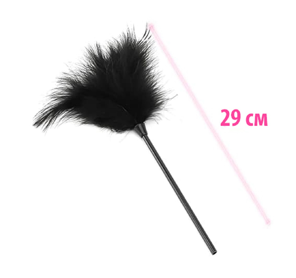 Набор аксессуаров БДСМ Veritas 10 предметов черный