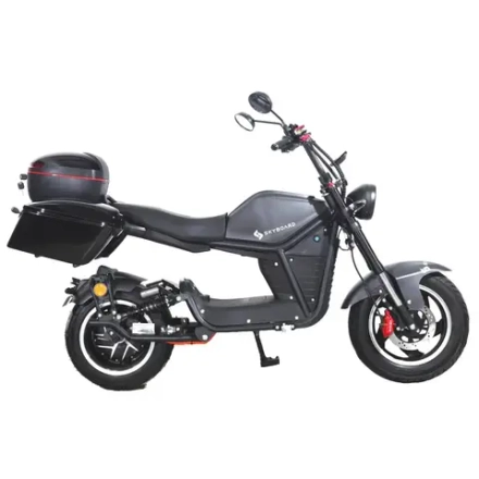 Электроскутер SKYBOARD CITYCOCO FAR EAST 5000