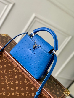 Louis Vuitton Capucines Mini