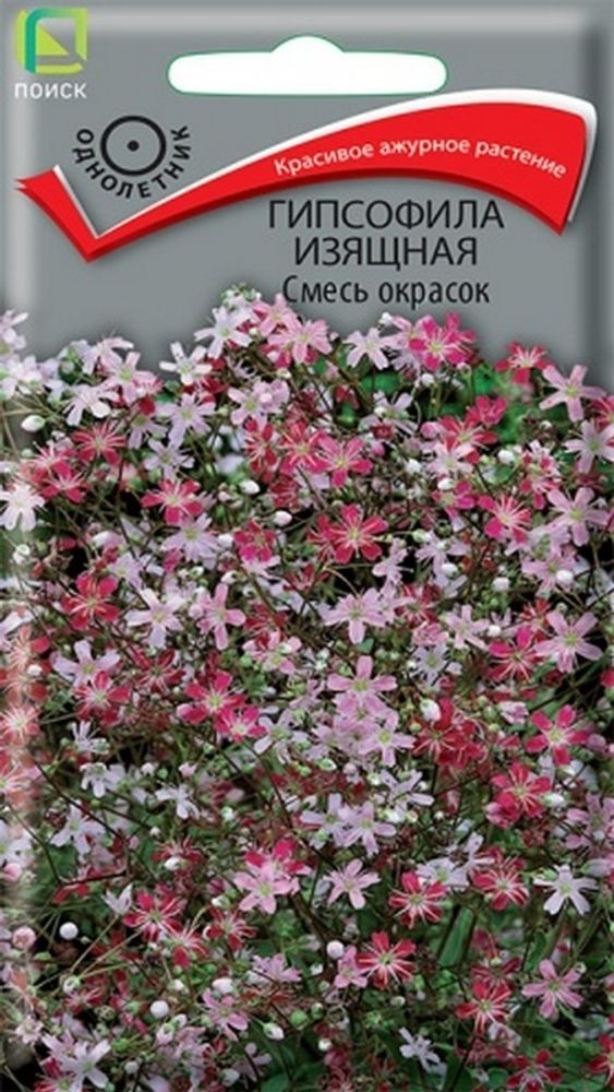 Гипсофила "G. Изящная" 0,2г., Россия. Гипсофила "G. Изящная" 0,2г., Россия.