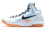 Кроссовки Nike Kd 5 Ice Blue