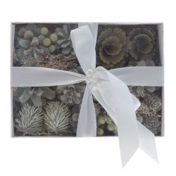 GAEM Изделие декоративное "Новогодняя композиция", L20 W15 H9 см