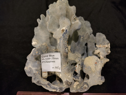 Коралл Голубой 180-270мм