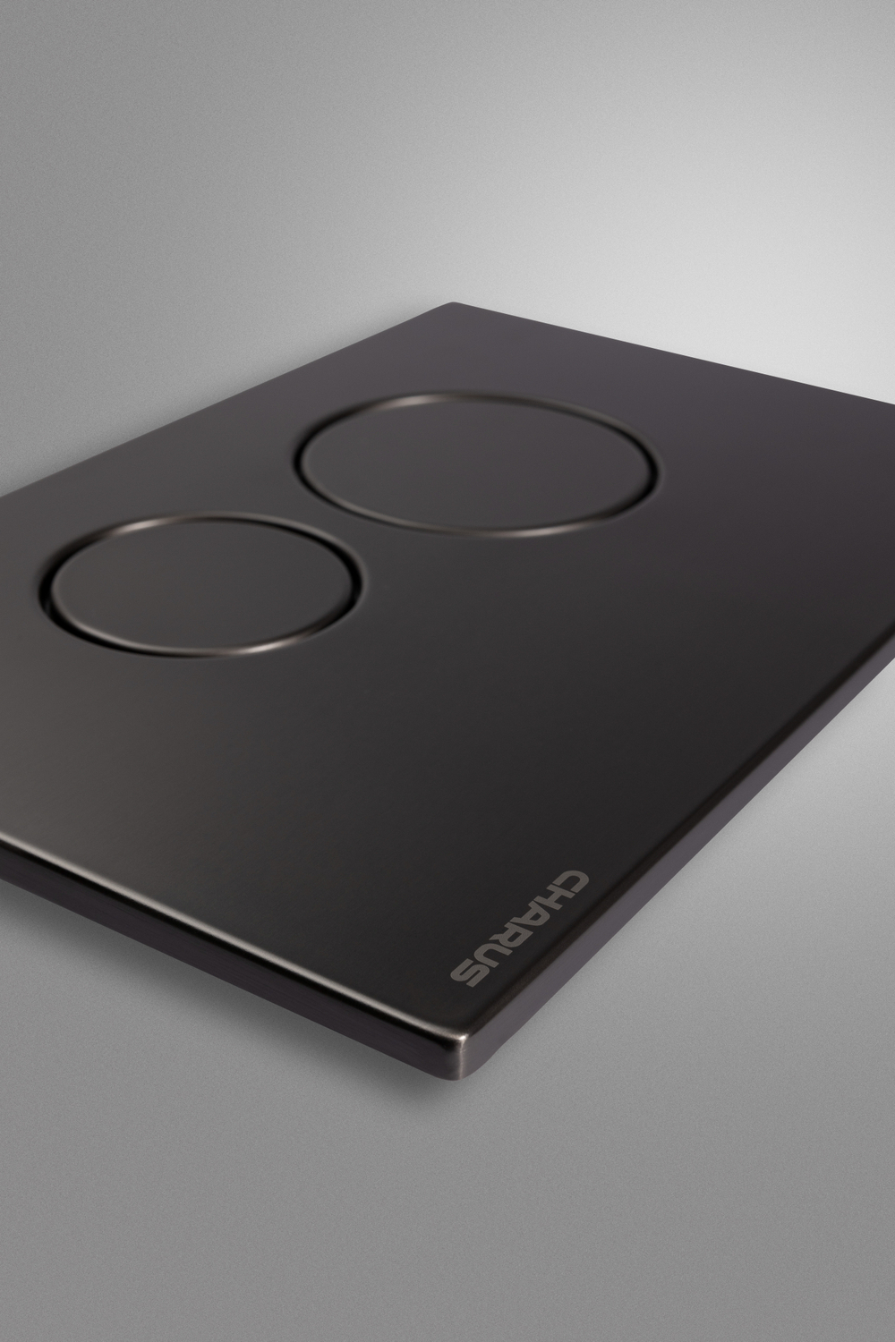 Клавиша для инсталляции CHARUS Robusto FP.330.GNM.05, оружейная сталь