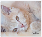 Perfeo Коврик для компьютерной мыши "Cat", Рис.4 (350*300*3 мм), ткань+резиновое основание