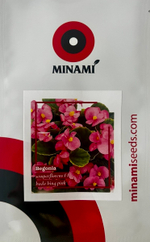 Бегония вечноцветущая Бада бинг F1 пинк 30шт.