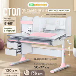 Письменный стол для школьников Ergokids Hamilton Multi BD-680