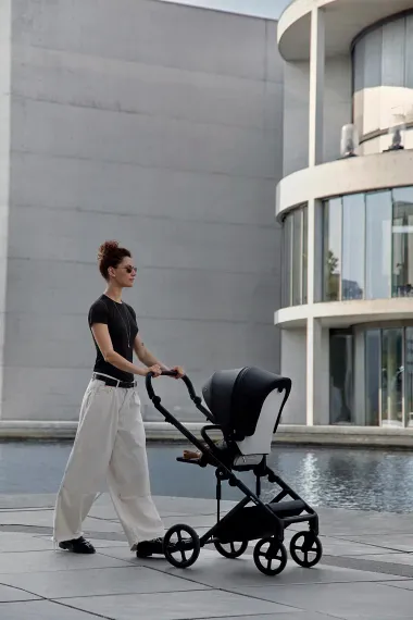 Коляска ANEX Eli 3 в 1 No.5