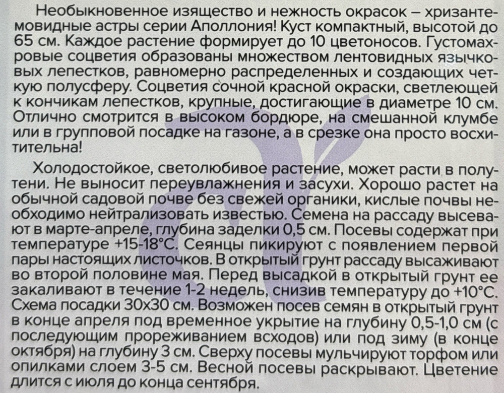 Астра Аполлония Красная 0,2 г хризантемовидная СМЦ-414