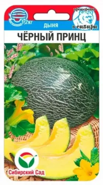 Дыня Черный принц 5шт (Сиб Сад)