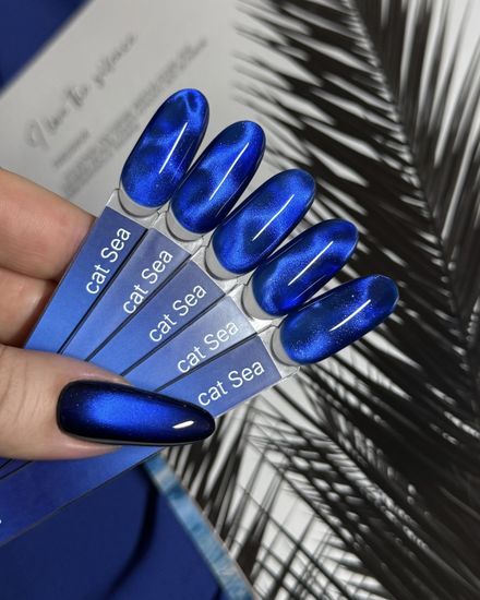 Sea cat color gel Iperfect 10g