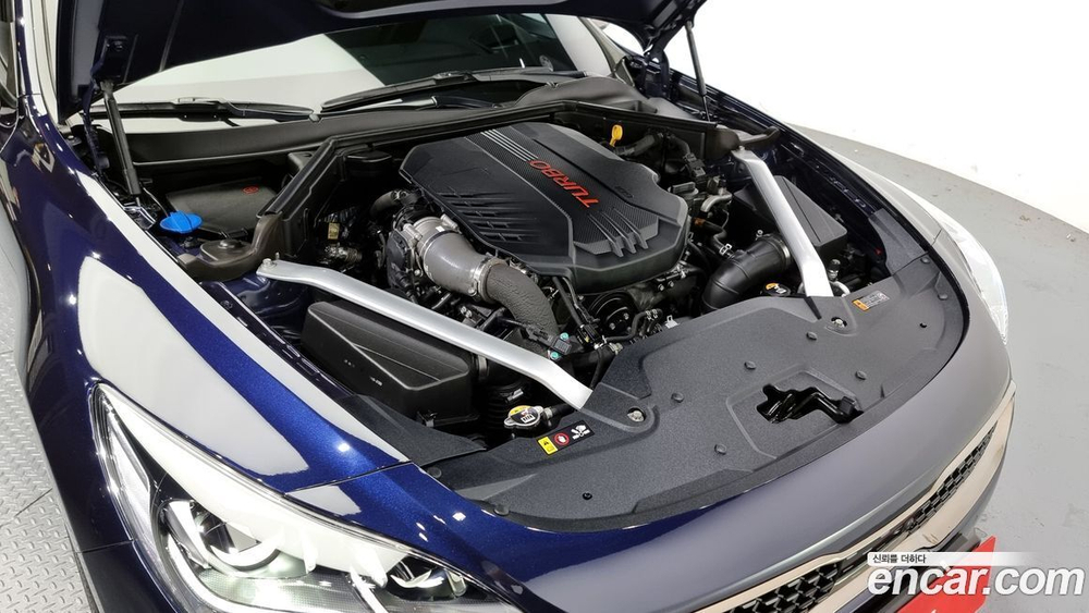 Kia Stinger Meister 3.3 GT 아크로 Editions (10.2021)