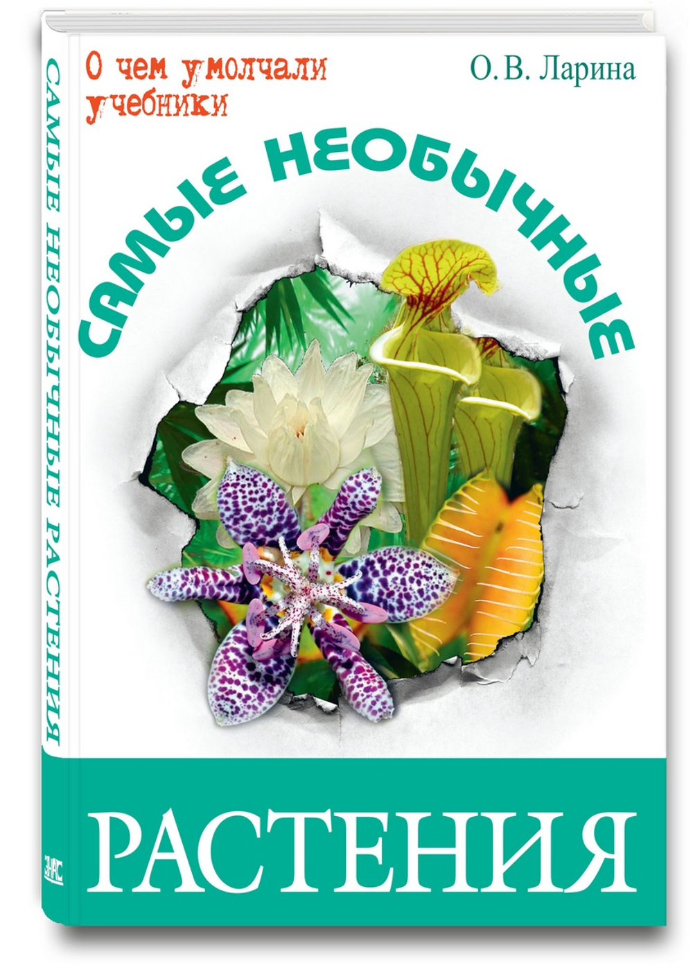 Самые необычные растения