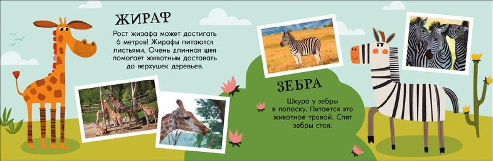 Зоопарк. Поезд знаний. Книга + Игра