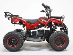 Электроквадроцикл Green Camel Гоби K31 (36V 800W R6 Цепь) ножной тормоз