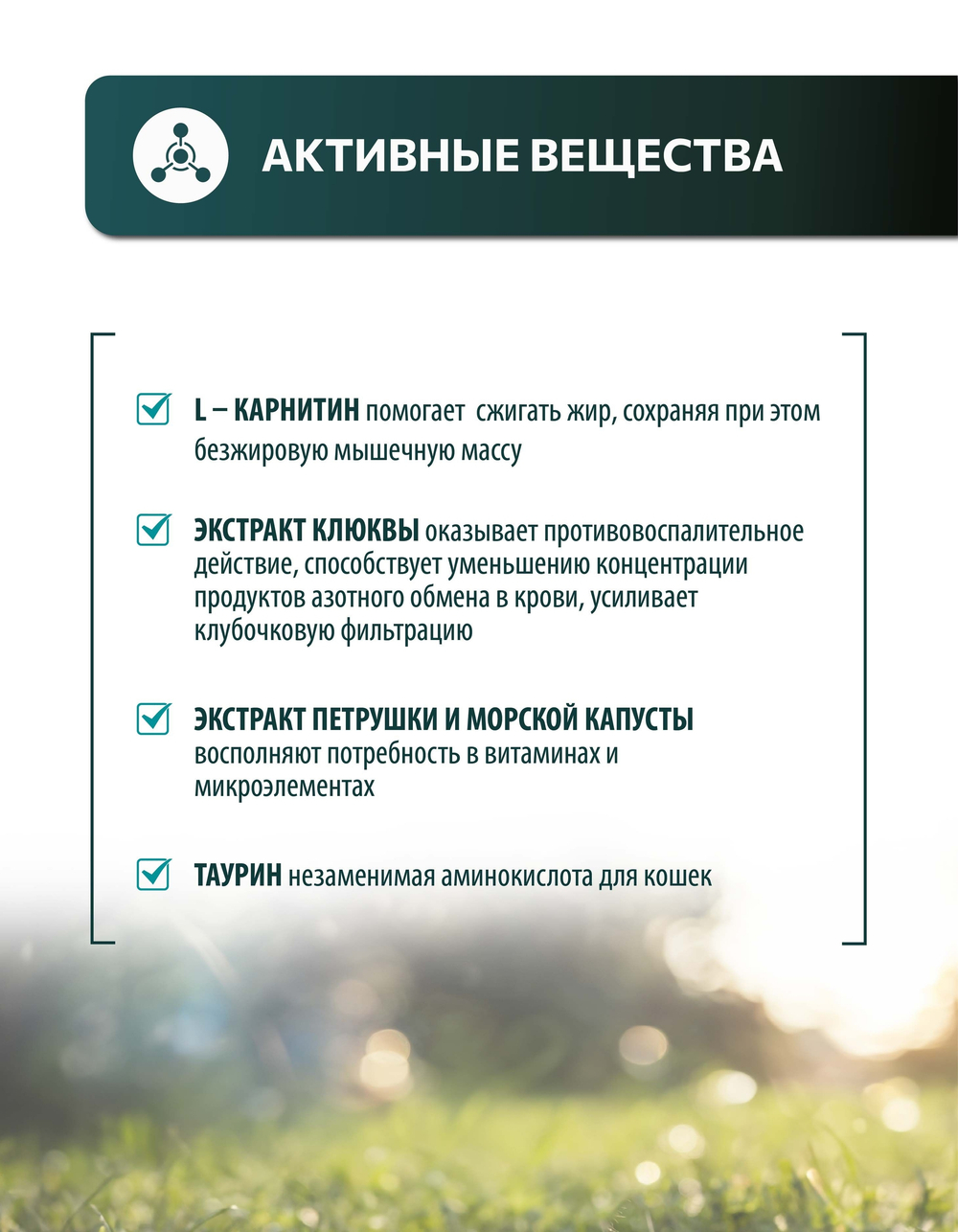 Vita+ мультивитаминное лакомство для кошек Для кастрированных котов и стерилизованных кошек, 90 таблеток