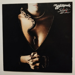 Винтажная виниловая пластинка LP Whitesnake Slide It In (Germany 1984)