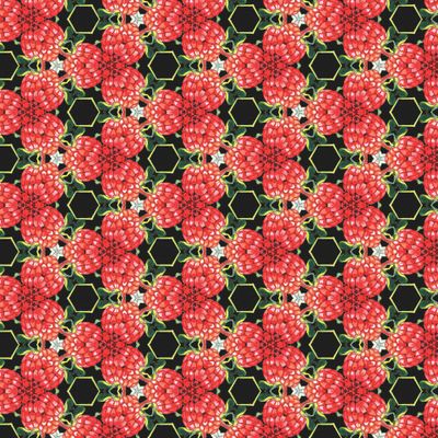 Kaleidoscope raspberry pattern