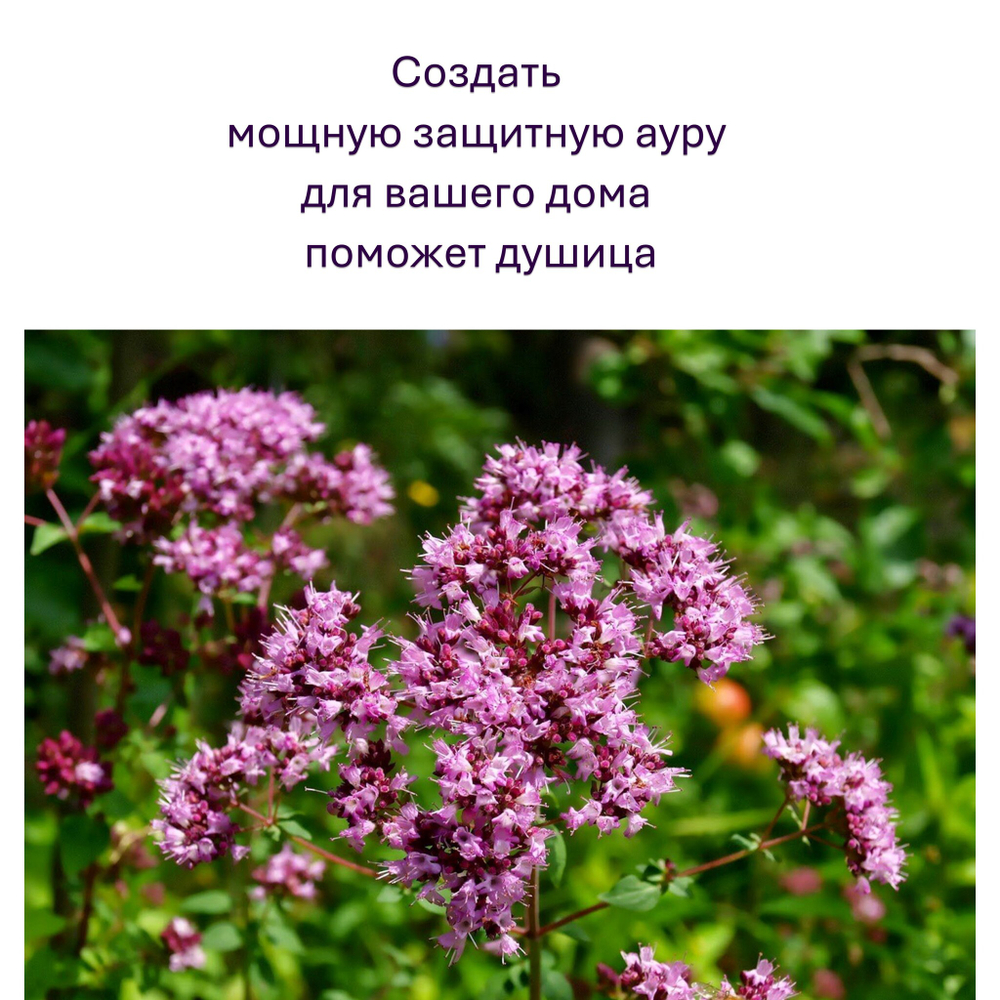 Свечи желтые/ защита и благополучие, с эфирными маслами и травами, 18х2 см