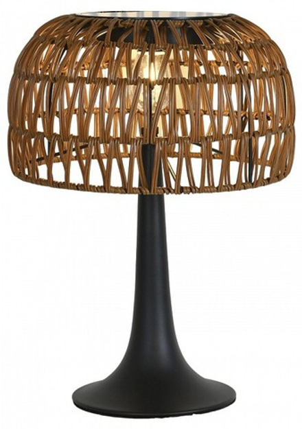 Настольная лампа декоративная Favourite Assolato 4833-1T