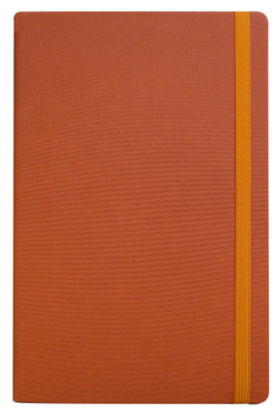 DENIM orange