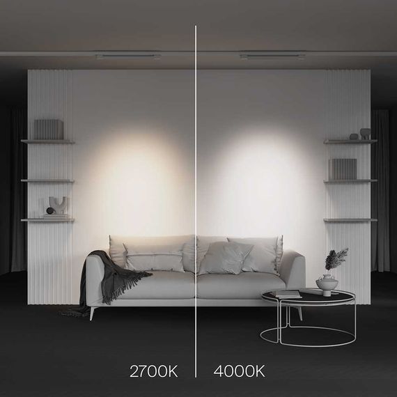 Трековый светодиодный светильник Maytoni Technical Points TR195-3-20W2.7K-M-W