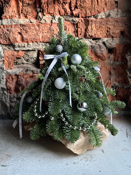 Елка из нобилиса h-25