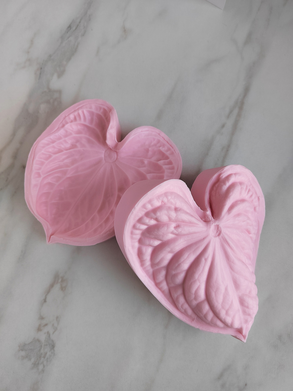 Антуриум XXL