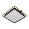Потолочный светодиодный светильник Loft IT Mike 10172