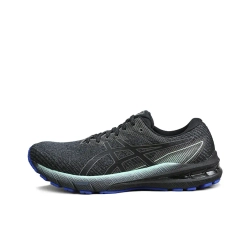 Мужские кроссовки ASICS GT-2000 10 'Black' 1011B412-020