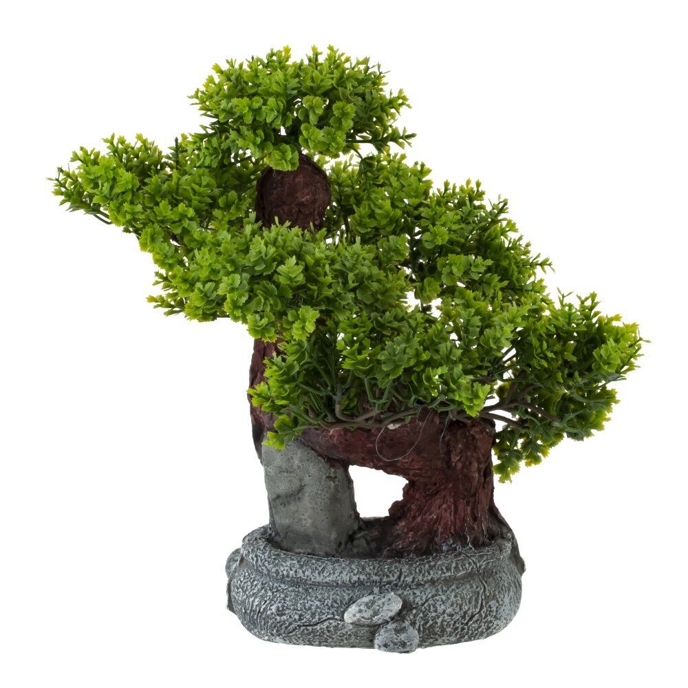 GAEM Цветочная композиция "Бонсай", L23 W21 H28 см, 2в.