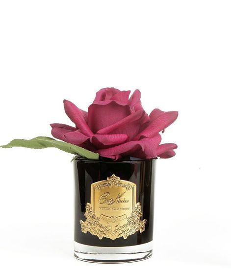 Красная роза ароматизированная в черной вазе, Cote Noire
